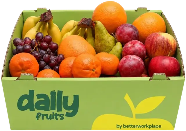 Daily Fruits Kiste mit Äpfeln, Bananen und Saisonobst